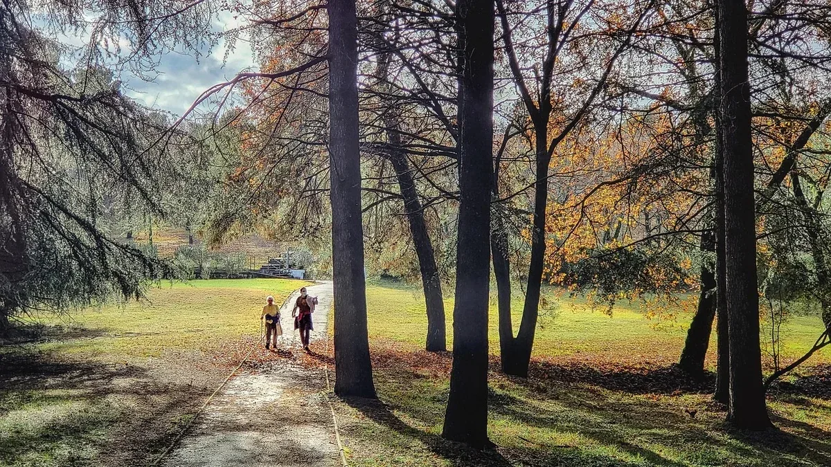 Meditazione camminata: come portare attenzione ai passi