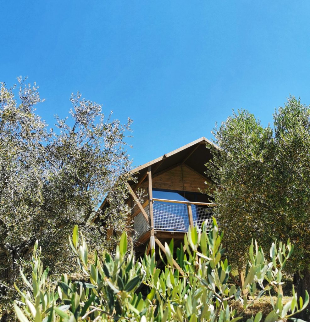 esterno della tenda glamping tra gli ulivi
